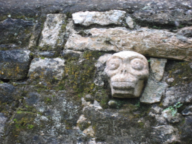 Cobá