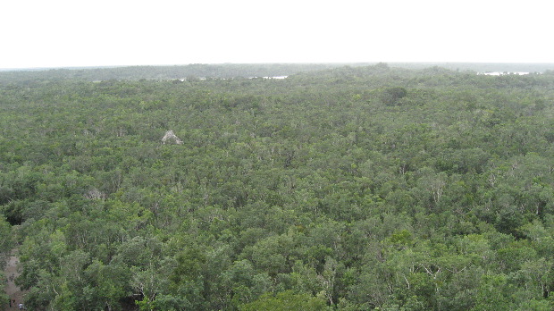 Cobá - El Castillo (view from top)