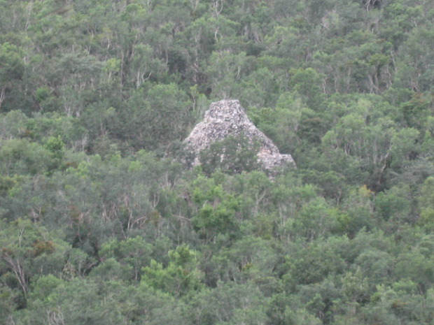 Cobá - El Castillo (view from top)