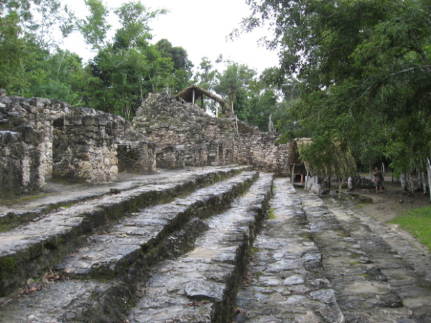 Cobá