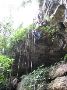 rapel into the jungle
