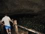 cenote