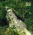Cobá - El Castillo 