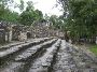 Cobá