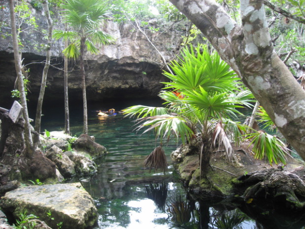 Chikin-Ha - Cenote
