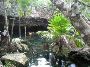 Chikin-Ha - Cenote
