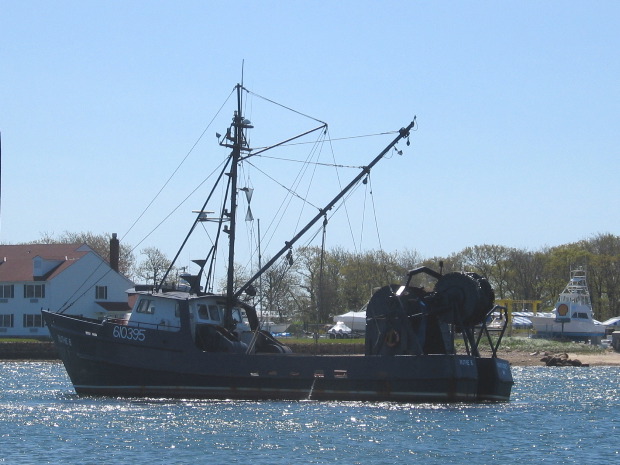 IMG_7837.JPG