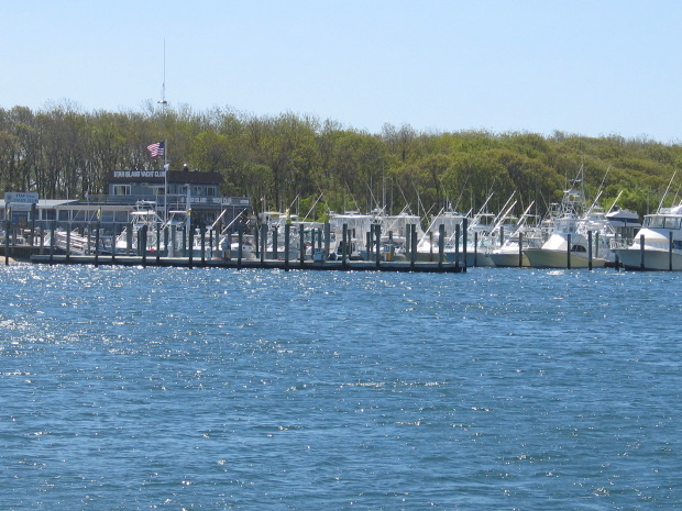 IMG_7841.JPG