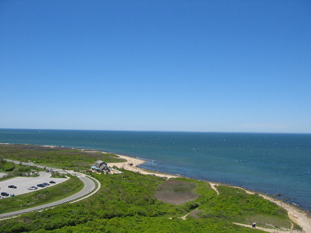 IMG_7880.JPG