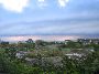 IMG_7823.JPG