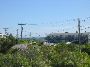 IMG_7831.JPG