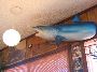 IMG_7832.JPG