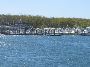 IMG_7841.JPG